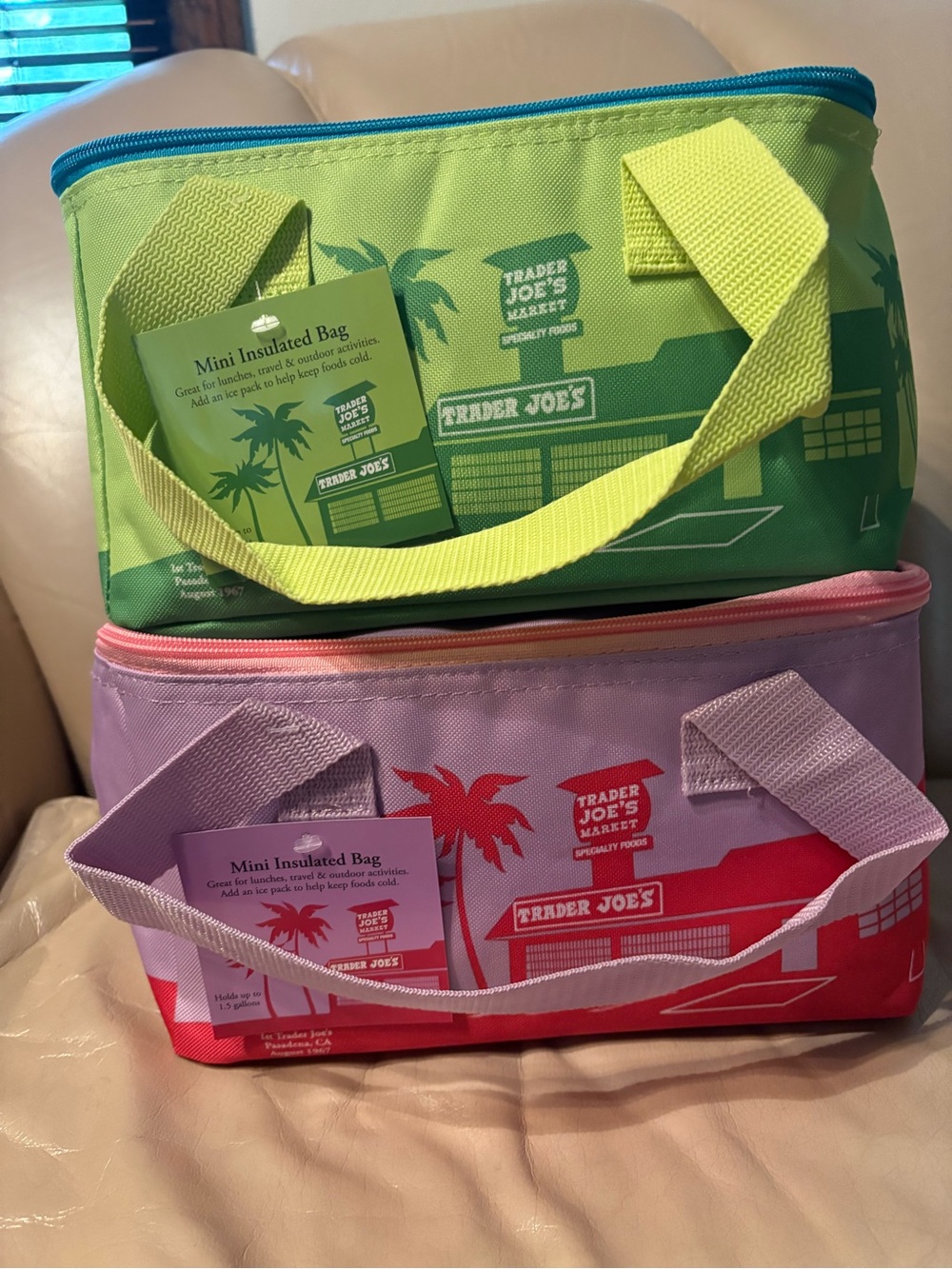 Trader Joe's Mini Insulated Bag, set of 2